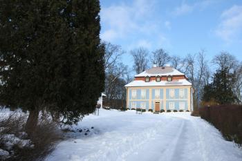 Zámek s přístupovou cestou ( © Martin  Kabeláč 01/2010)