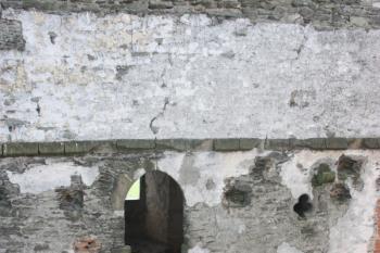 Purkrabství: pohled z půdního okna na královský palác ( © Ivan Grisa 09/2011)