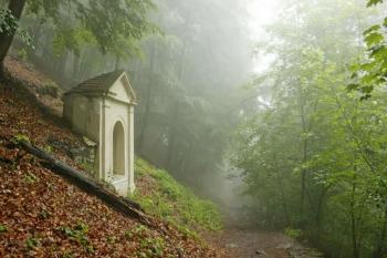  (© Luděk Vláčil, 07/2013)