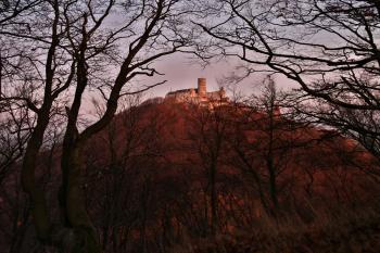  (© Jirka Burger, 04/2009)