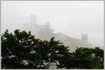  (© Jirka Burger, 05/2009)