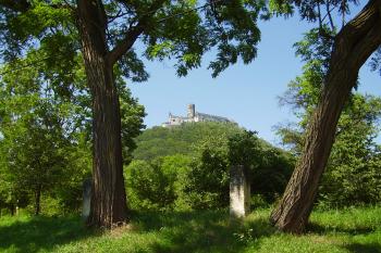 nejhezčí dovolená (© rodo chrozit, 07/2006)