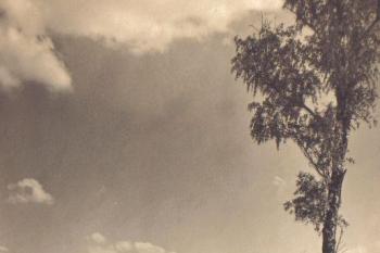 Bezděz - fotografie z poč.20.století (soukr.sbírka IvoR) ( © anon.)