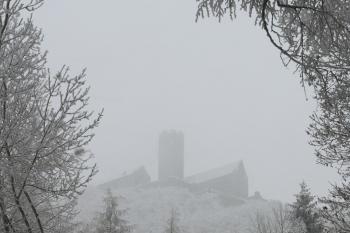  (© Jirka Burger, 01/2010)