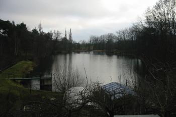 pohled na rybník jižně od zámku (© D Dohňanský, 01/2016)