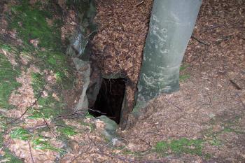 Zlatá stezka na Zlatém Chlumu (© Ivo Rozehnal, 07/2011)