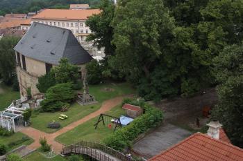  (© Michal Brůža, 07/2011)