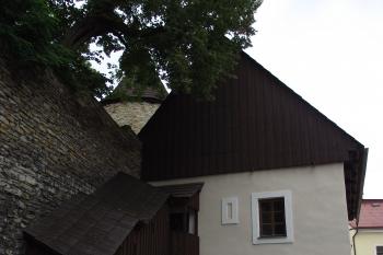  (© Michal Brůža, 07/2011)