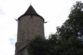  (© Michal Brůža, 07/2011)