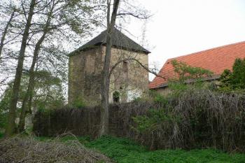 Věž tvrze s hradební zdí od jihovýchodu (© Václav Hájek 05/2006)