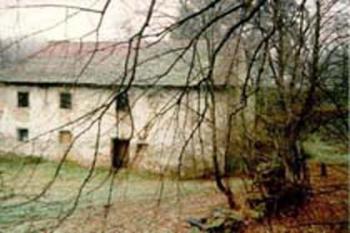 Pohled na mlýn směrem od Bochnerova rybníka (Kateřina Němcová©1998)
