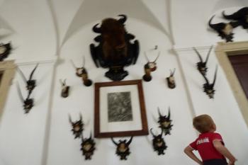  (© František Kinař, 08/2013)
