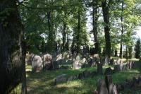 nový židovský hřbitov