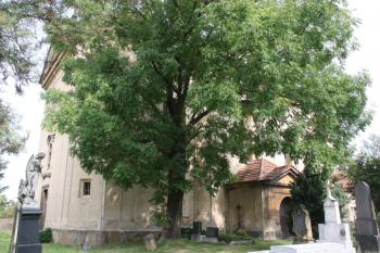 Kostel od jihozápadu ( © Ivan Grisa 09/2011)