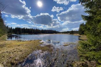 Rolavská vrchoviště (© Ywetta K 02/2021)