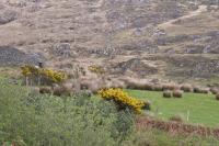 Staigue  Fort 