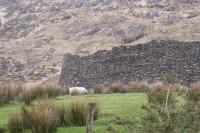 Staigue  Fort 