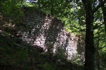 (© Michal Brůža, 06/2012)