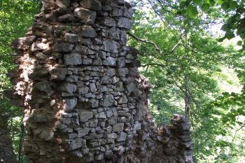  (© Michal Brůža, 06/2012)