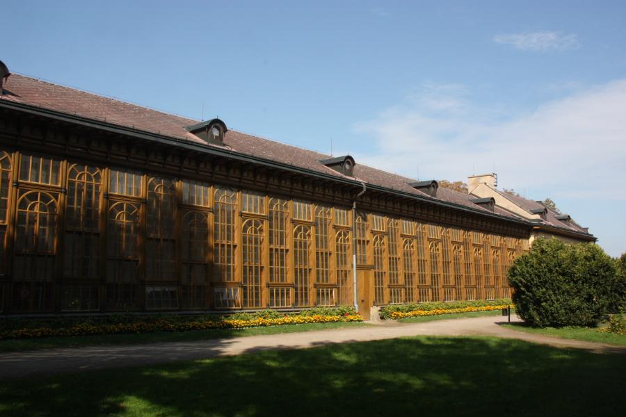 palmový skleník