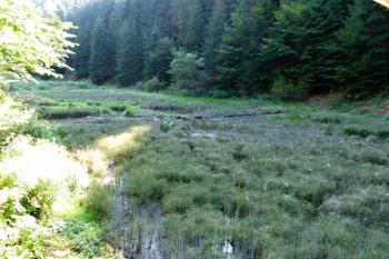 plocha vypuštěného a zabahněného klausu ( © Jan P. Štěpánek 09/2011)