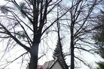celkový pohled na kapličku ( © Jan P. Štěpánek 04/2011)