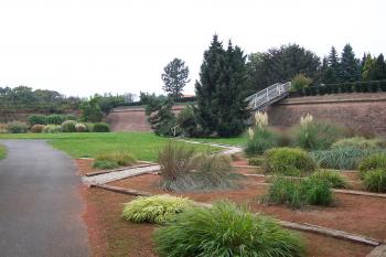 Olomouc - Botanická zahrada v Bezručových sadech (© Ivo Rozehnal, 09/2011)