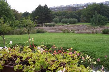Olomouc - Botanická zahrada v Bezručových sadech (© Ivo Rozehnal, 09/2011)