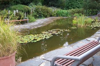 Olomouc - Botanická zahrada v Bezručových sadech (© Ivo Rozehnal, 09/2011)