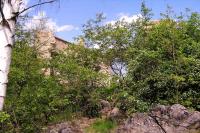 Kamýk