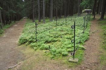 dvouřadá protipěchotní překážka (© Michal Brůža, 08/2014)