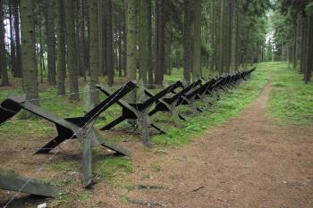 řada rozsocháčů (© Michal Brůža, 08/2014)