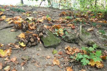 Zbytky kamenné plenty (© Prudký Martin, 10/2011)