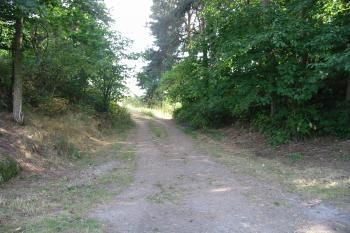 cesta,kopírující východní příkop (© D Dohňanský, 07/2015)