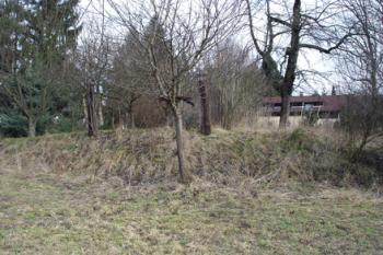  ( © Iva Spurná 02/2007)