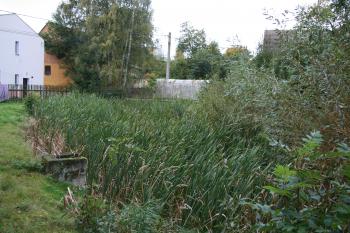 Zarostlý příkop ( © Petr Nožička 10/2011)