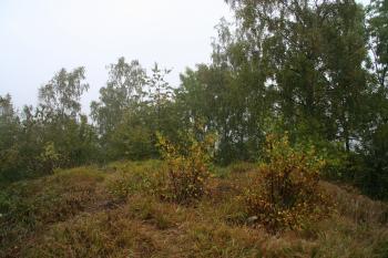 Plocha tvrziště ( © Petr Nožička 10/2011)