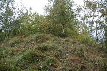 Pohled na tvrziště ( © Petr Nožička 10/2011)
