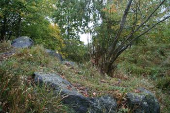 Příkop oddělující tvrziště ( © Petr Nožička 10/2011)
