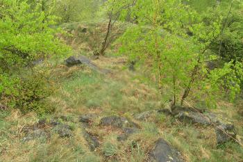 Příkop tvrziště ( © Martin Kabeláč 4/2007)