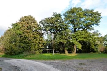 celkový pohled na místo zaniklého kostela a hřbitova od západu ( © Jan P. Štěpánek 10/2011)