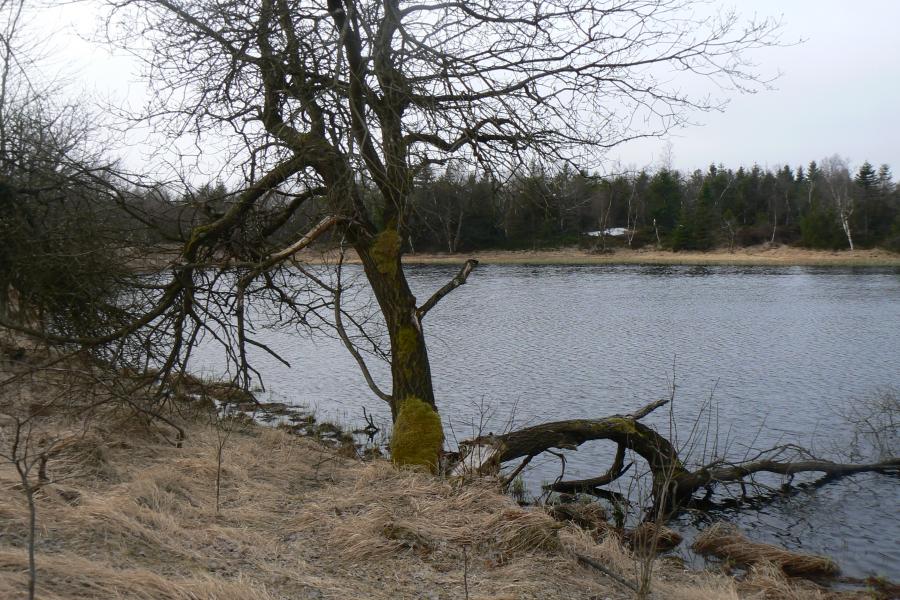 Černý rybník