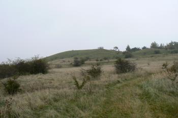  (© Prudký Martin, 10/2011)
