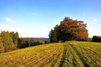 Pohled od severozápadu. ( © Radovan Smokoň 10/2011)