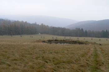Louka do údolí (© Prudký Martin, 11/2011)