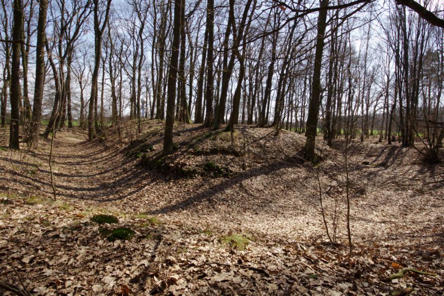 Strašnov