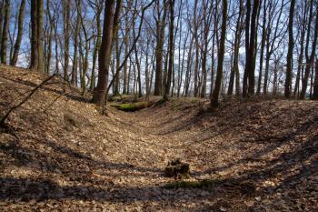 průhled jižním příkopem ( © Pavel Zany Komárek 30. 3. 2010)