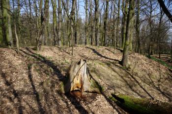 východní část jádra od jihu ( © Pavel Zany Komárek 30. 3. 2010)