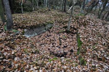 Hradiště u Černovic. Pozůstatky příbytků a valů. ( © Radovan Smokoň 11/2011)