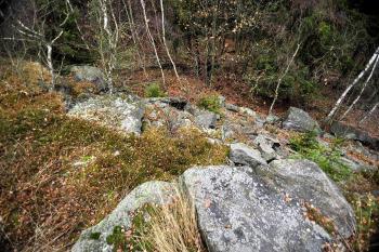 Hradiště u Černovic. ( © Radovan Smokoň 11/2011)